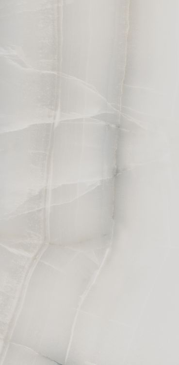 Akoya Silver Matte 12 x 24